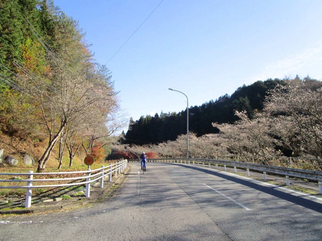 f:id:inagon175:20201130190346j:image f:id:inagon175:20201130190346j:image