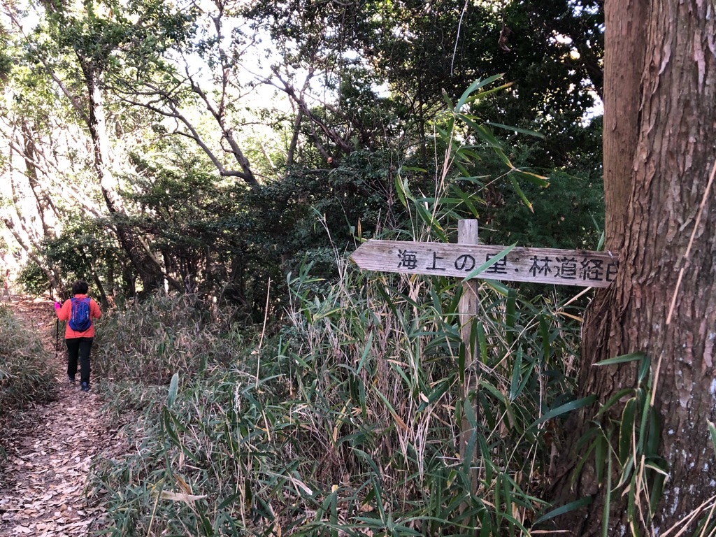 f:id:inagon175:20201203180347j:image