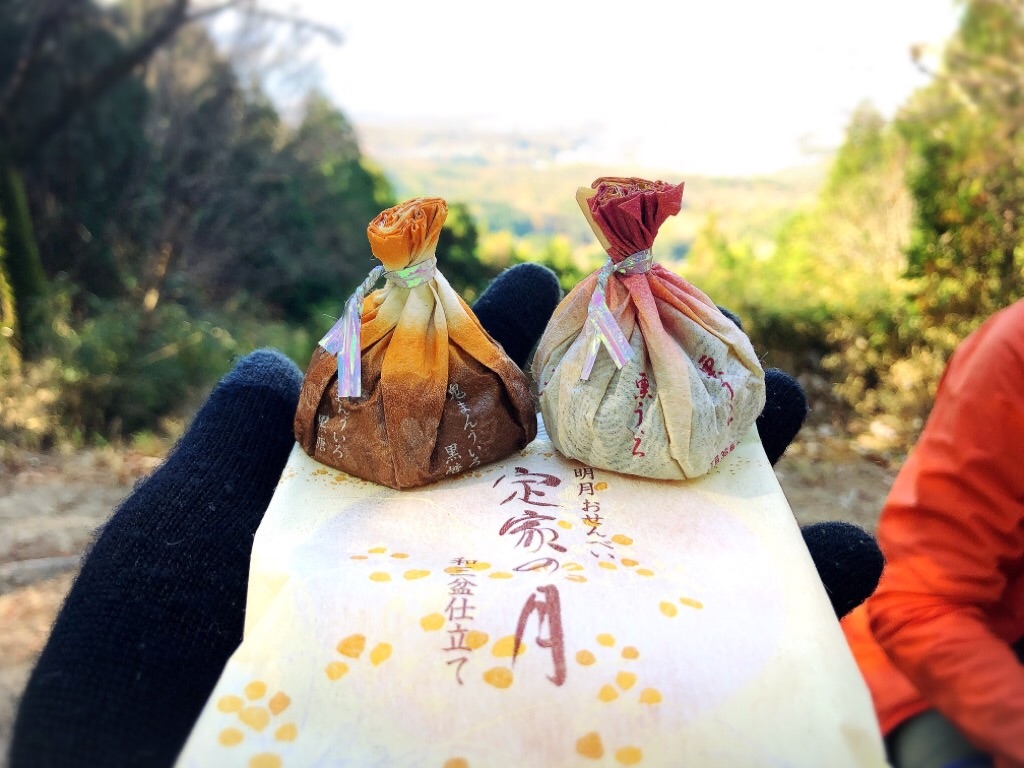 f:id:inagon175:20201203180415j:image