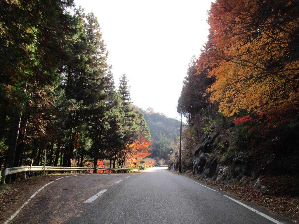 f:id:inagon175:20201206165919j:image