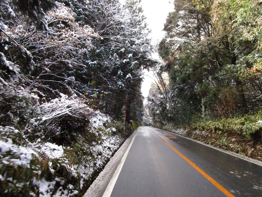 f:id:inagon175:20201218175057j:image