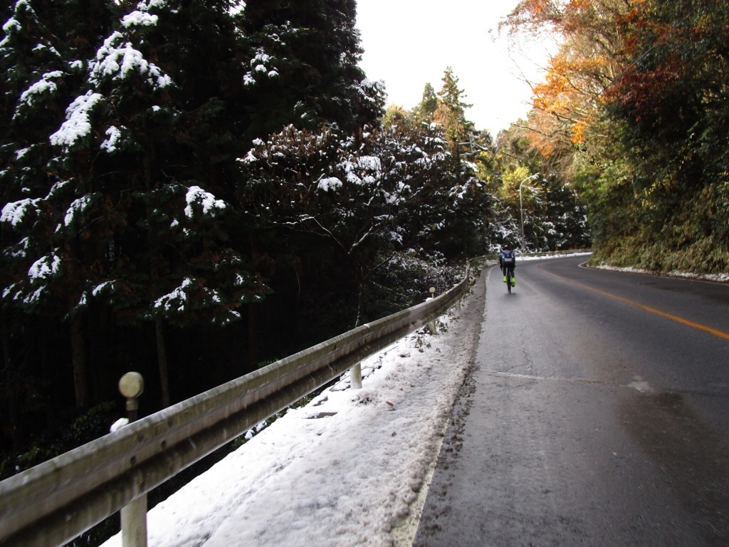 f:id:inagon175:20201218175202j:image