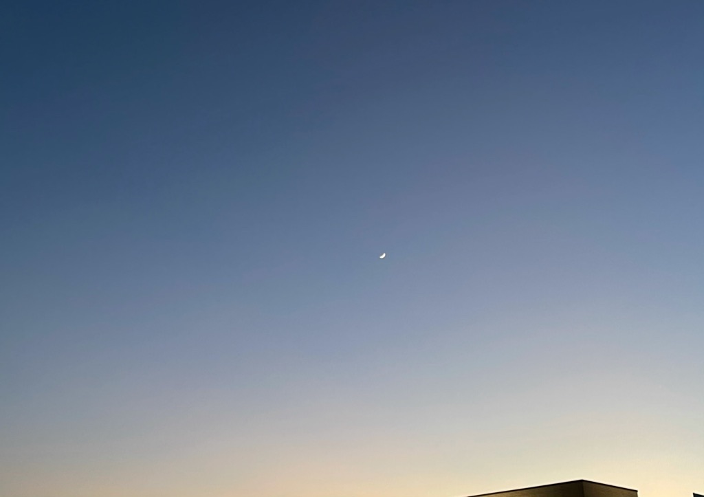 f:id:inagon175:20210116214137j:image f:id:inagon175:20210116214137j:image
