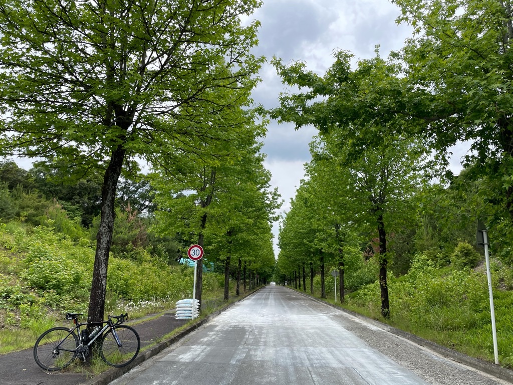 f:id:inagon175:20210602154432j:image