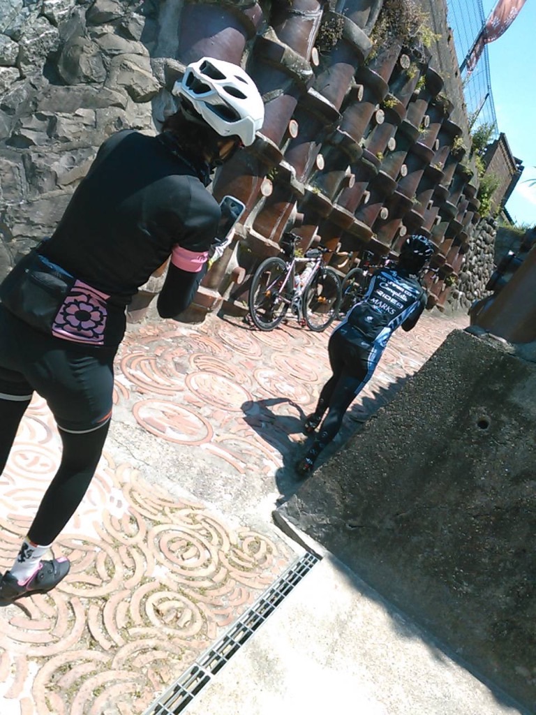 f:id:inagon175:20210610085337j:image