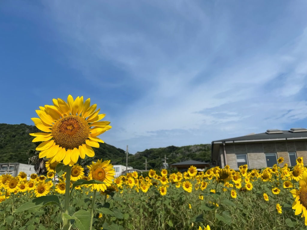 f:id:inagon175:20210801212843j:image f:id:inagon175:20210801212843j:image