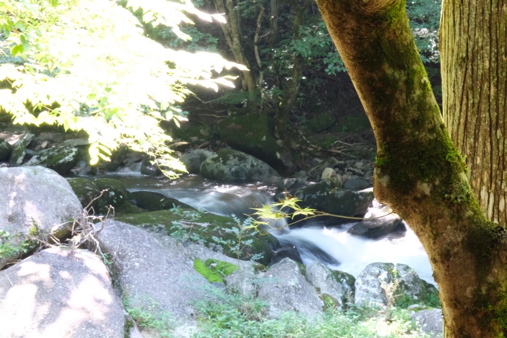 f:id:inagon175:20210910224639j:image