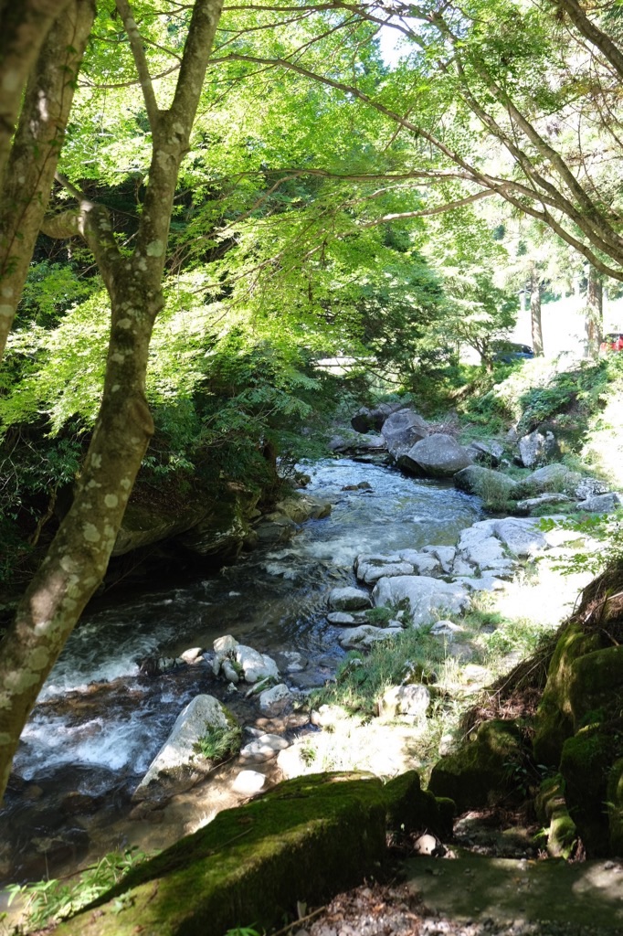 f:id:inagon175:20210910224700j:image