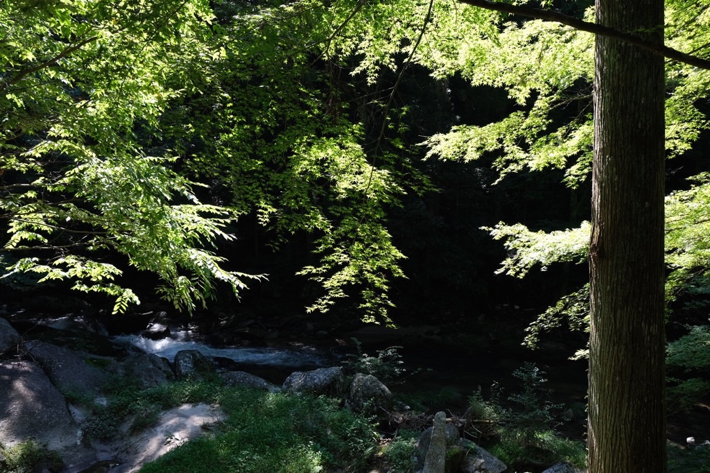 f:id:inagon175:20210910224702j:image