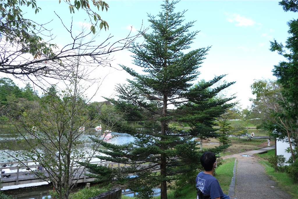 f:id:inagon175:20210920104311j:image