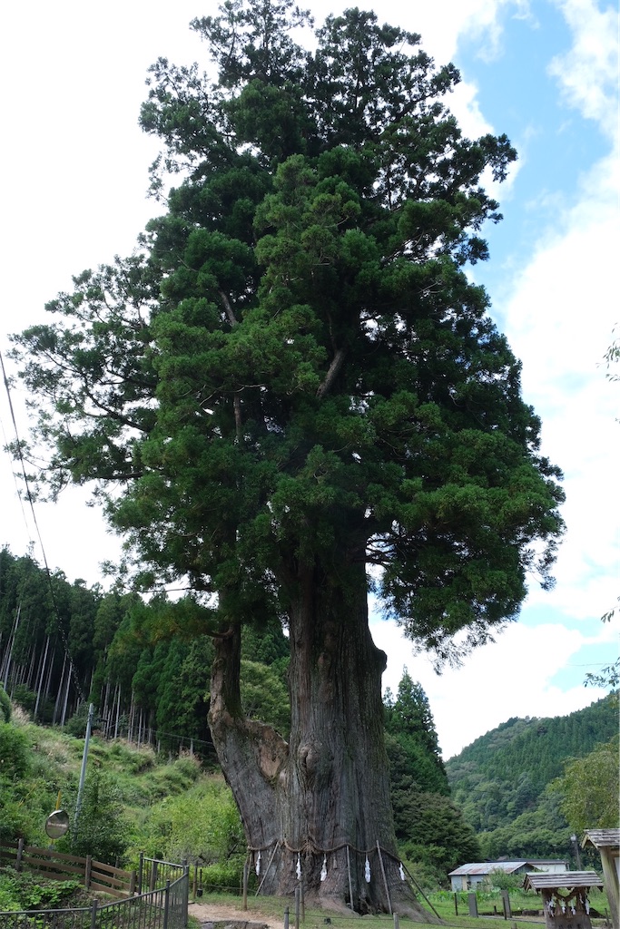 f:id:inagon175:20210920104320j:image