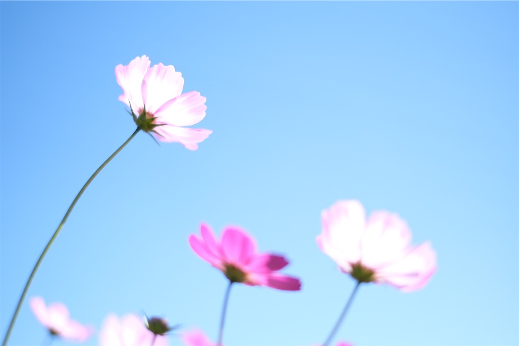 f:id:inagon175:20211029155000j:image