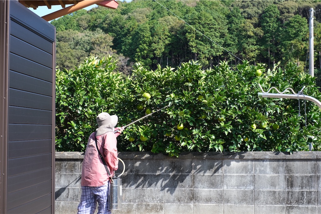 f:id:inagon175:20211105190512j:image