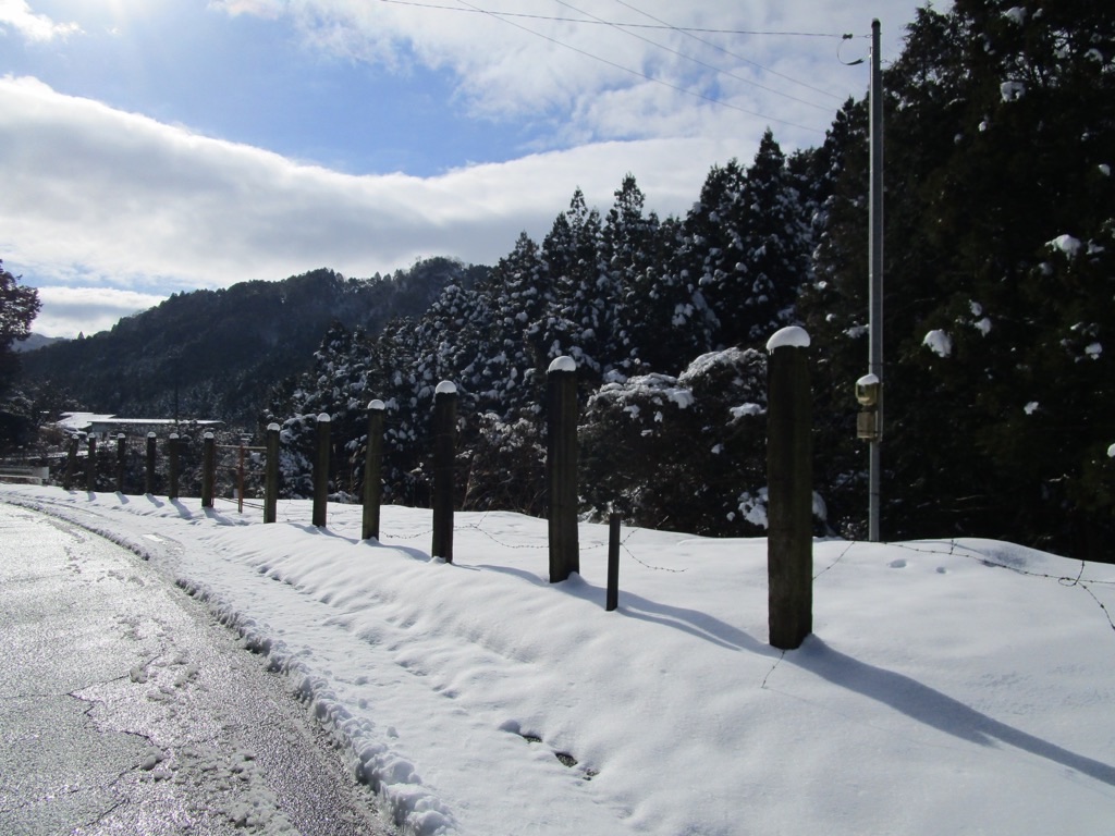 f:id:inagon175:20220122214031j:image f:id:inagon175:20220122214031j:image
