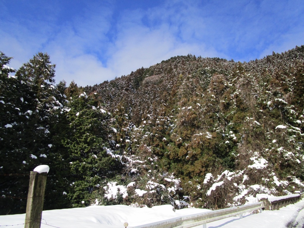 f:id:inagon175:20220122214048j:image f:id:inagon175:20220122214048j:image