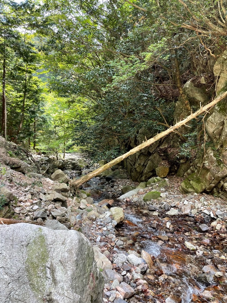 f:id:inagon175:20220508101855j:image