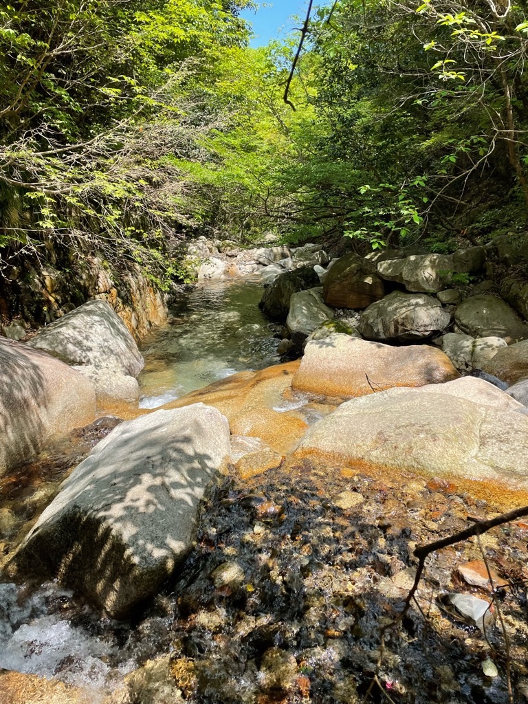 f:id:inagon175:20220508102001j:image