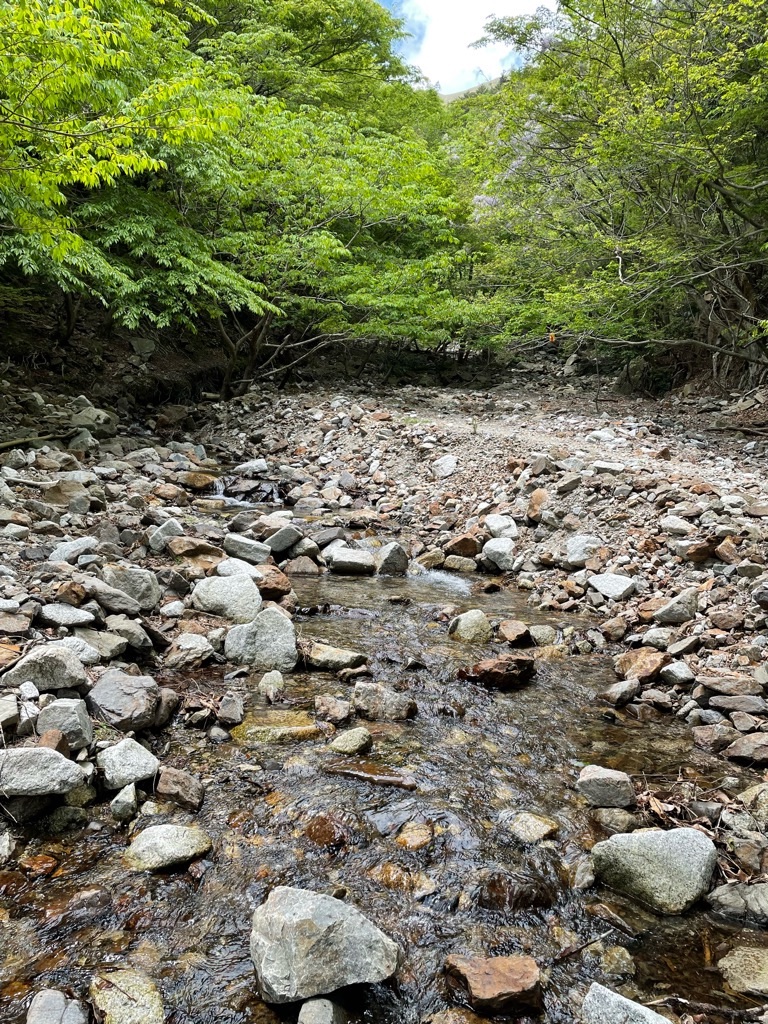 f:id:inagon175:20220508102012j:image