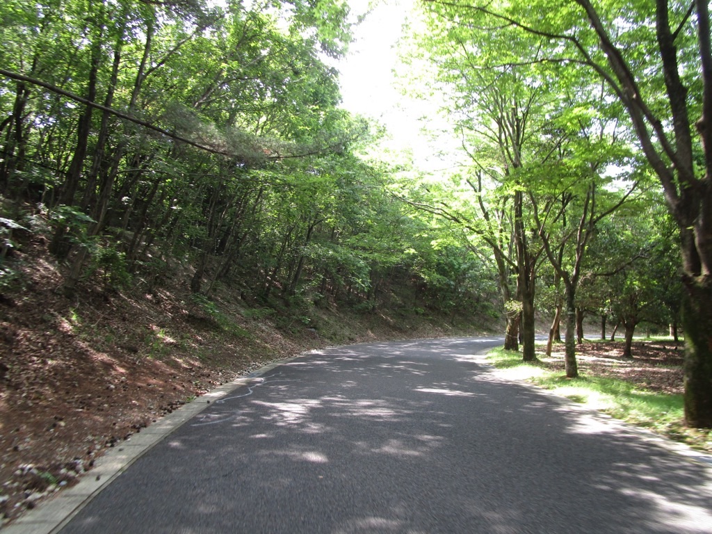 f:id:inagon175:20220525182113j:image