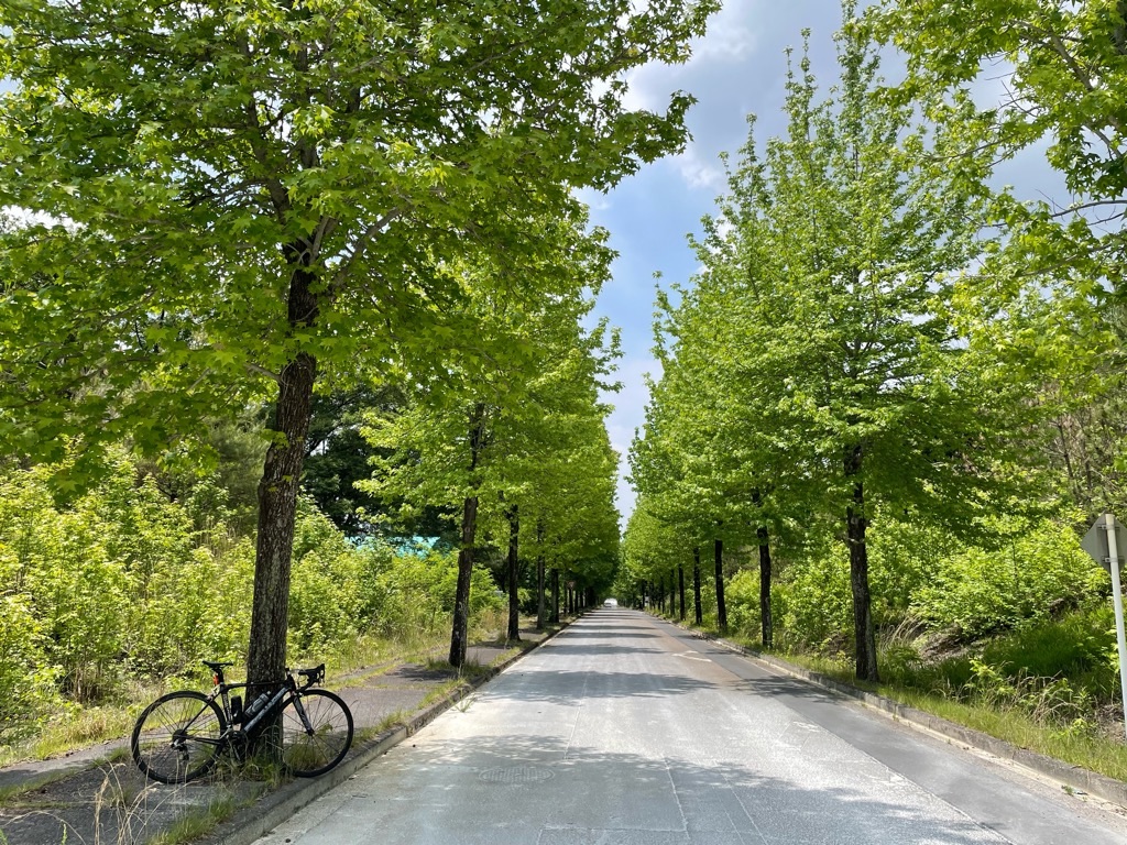f:id:inagon175:20220525182142j:image