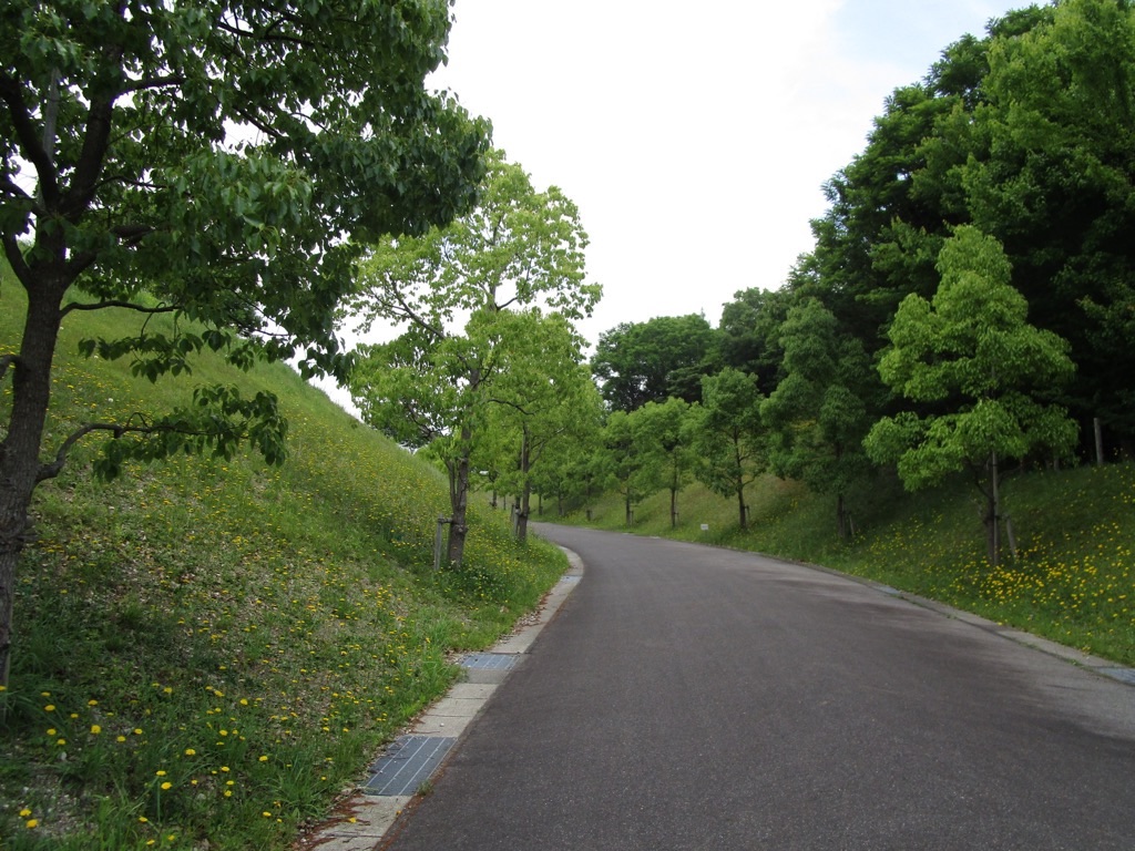 f:id:inagon175:20220525182145j:image