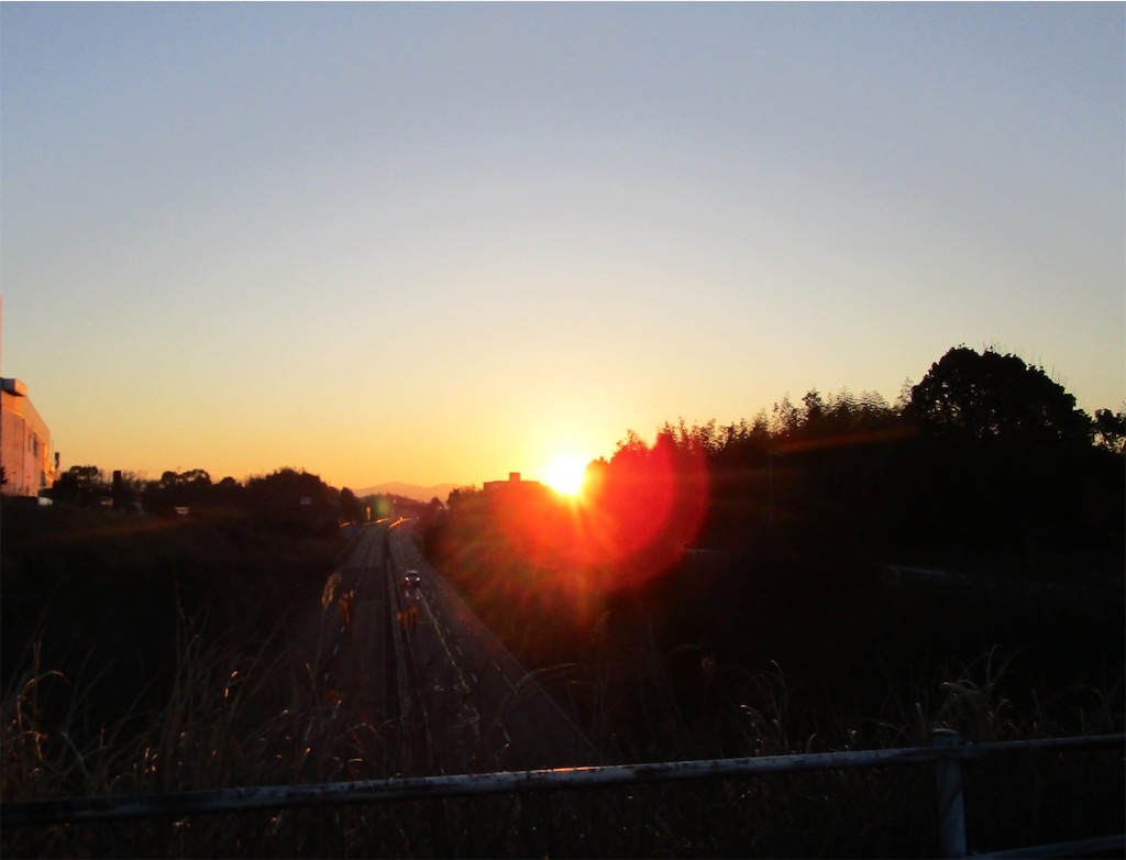 f:id:inagon175:20230206150145j:image f:id:inagon175:20230206150145j:image