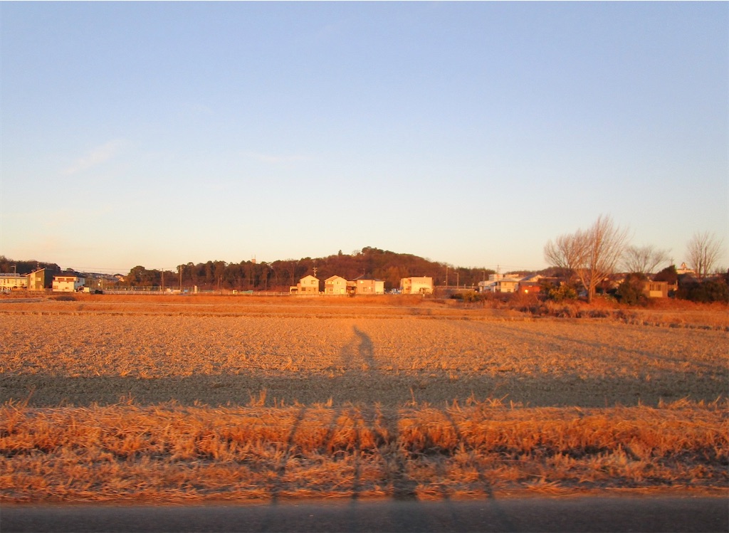 f:id:inagon175:20230206150148j:image f:id:inagon175:20230206150148j:image