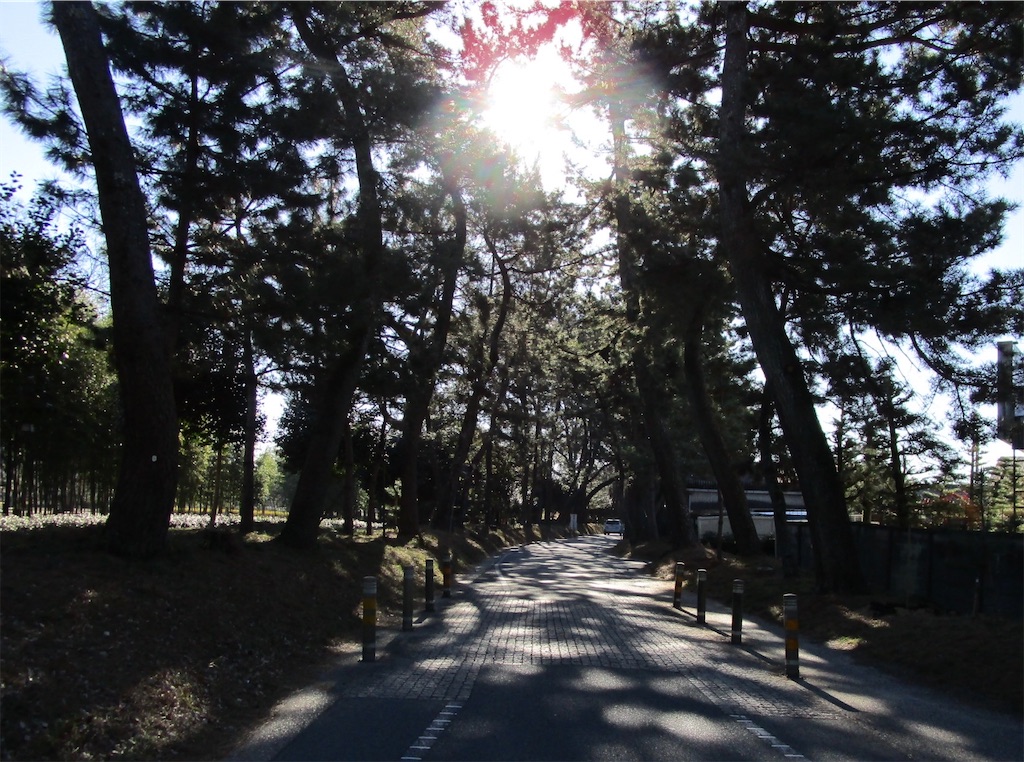 f:id:inagon175:20230206150349j:image f:id:inagon175:20230206150349j:image
