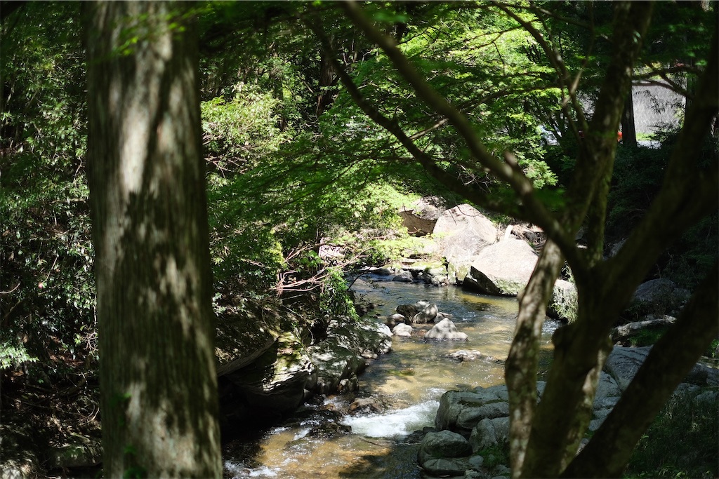 f:id:inagon175:20240512202902j:image