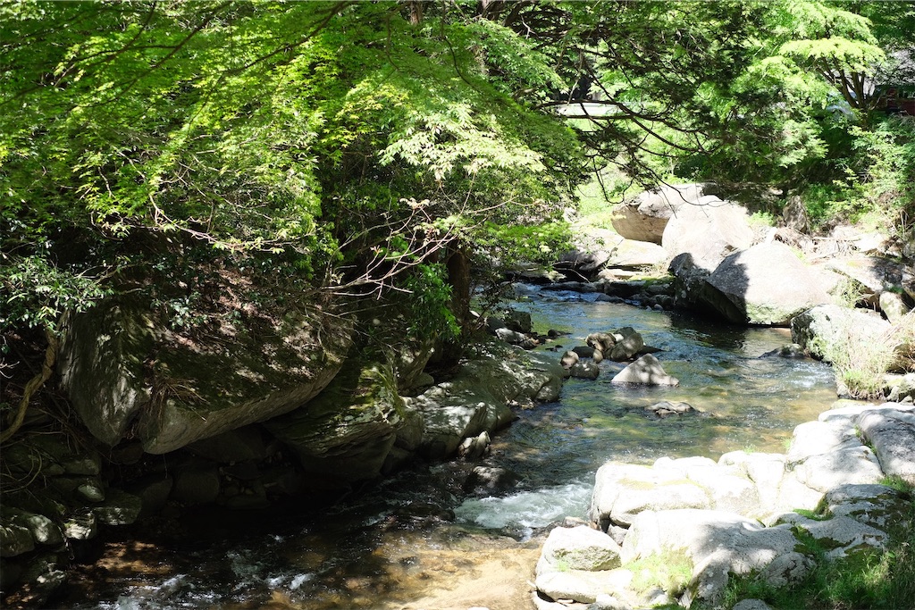 f:id:inagon175:20240512202944j:image