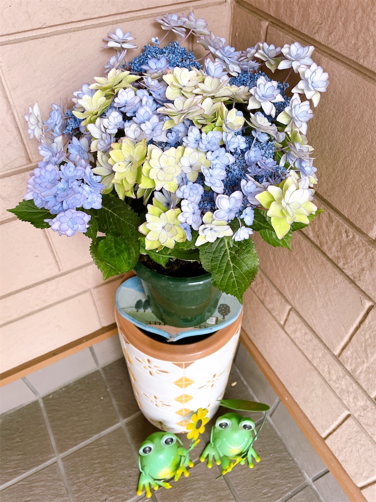 f:id:inagon175:20240615223115j:image