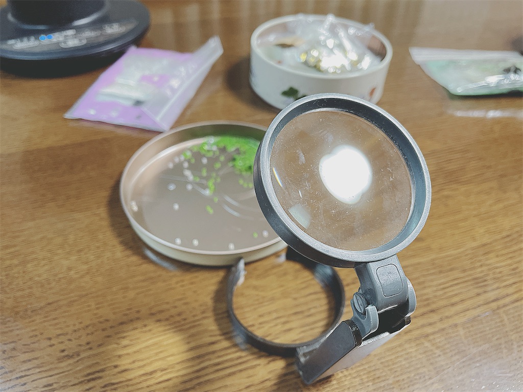 f:id:inagon175:20240825233101j:image