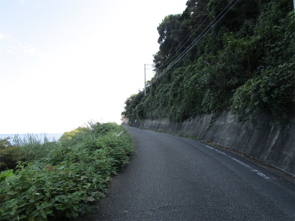 f:id:inagon175:20241002170824j:image