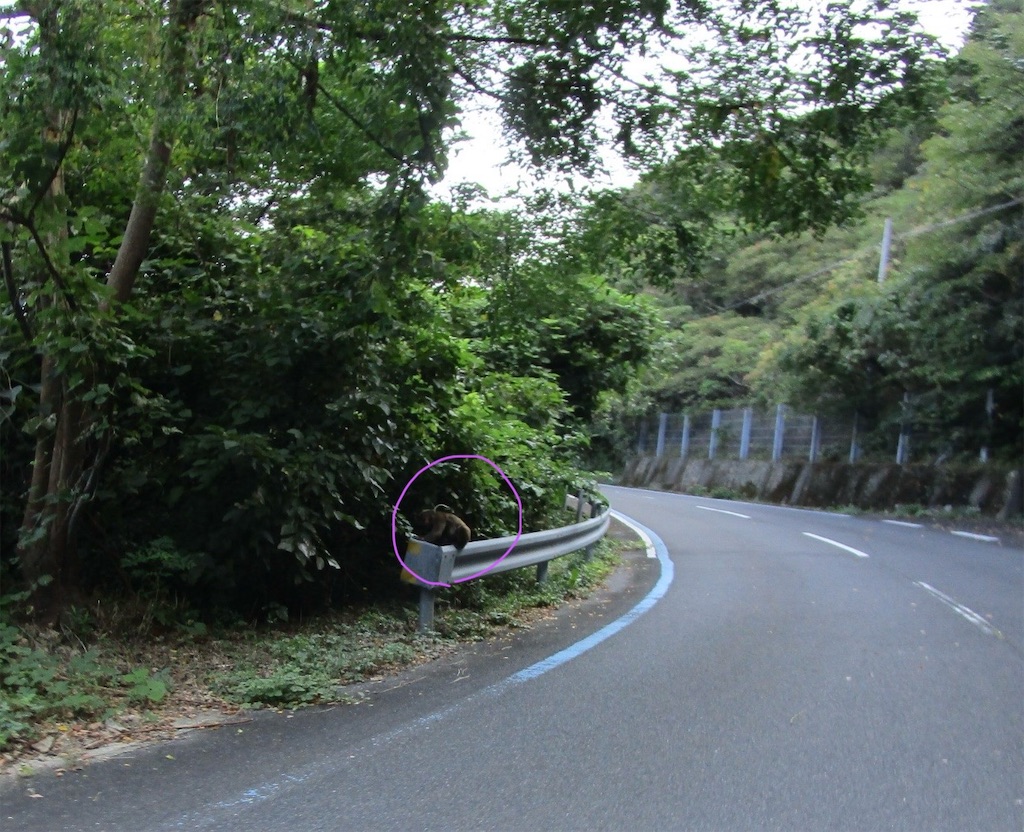 f:id:inagon175:20241008084544j:image