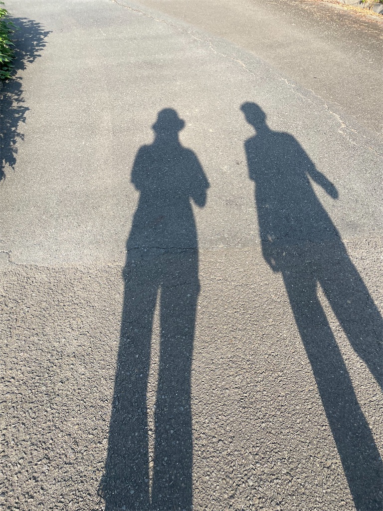 f:id:inagon175:20241008084915j:image