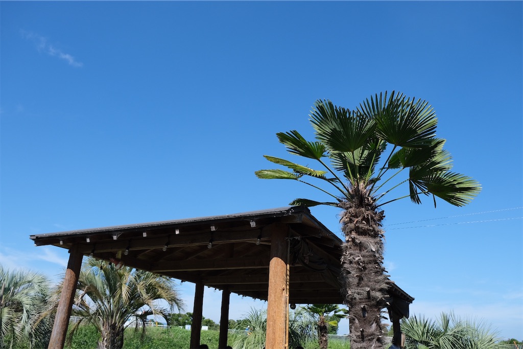 f:id:inagon175:20241014233719j:image