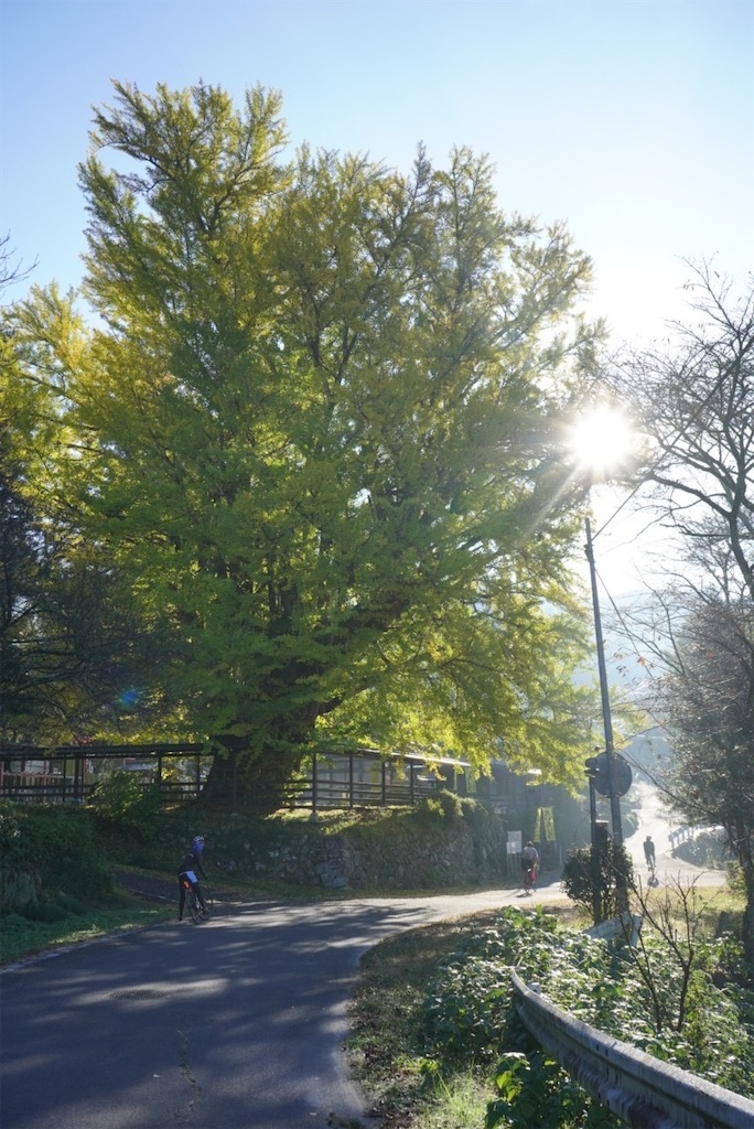 f:id:inagon175:20241203103228j:image