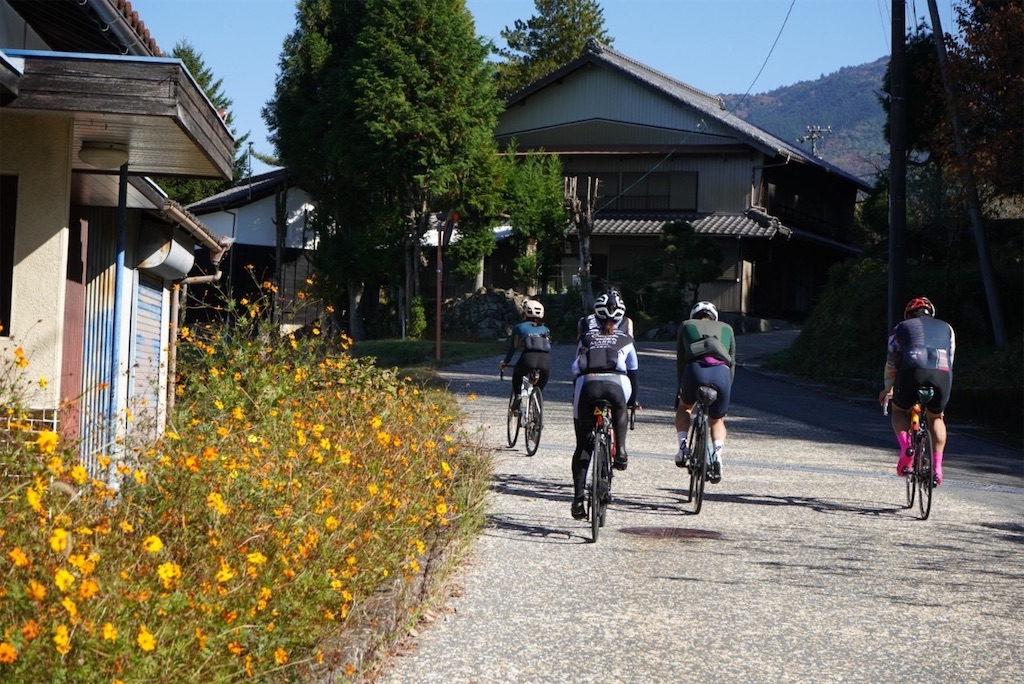 f:id:inagon175:20241203105202j:image