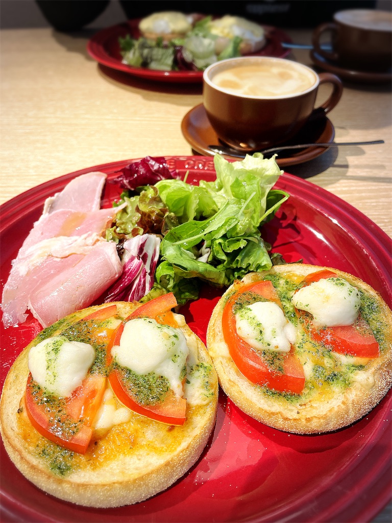 f:id:inagon175:20241203151634j:image