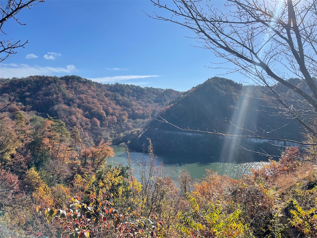 f:id:inagon175:20241215221022j:image