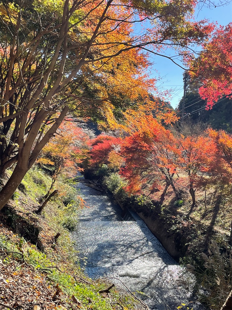 f:id:inagon175:20241215222829j:image