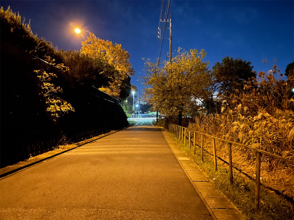 f:id:inagon175:20241218155003j:image