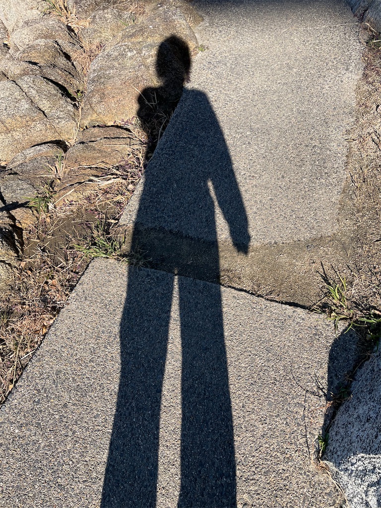 f:id:inagon175:20241219081802j:image