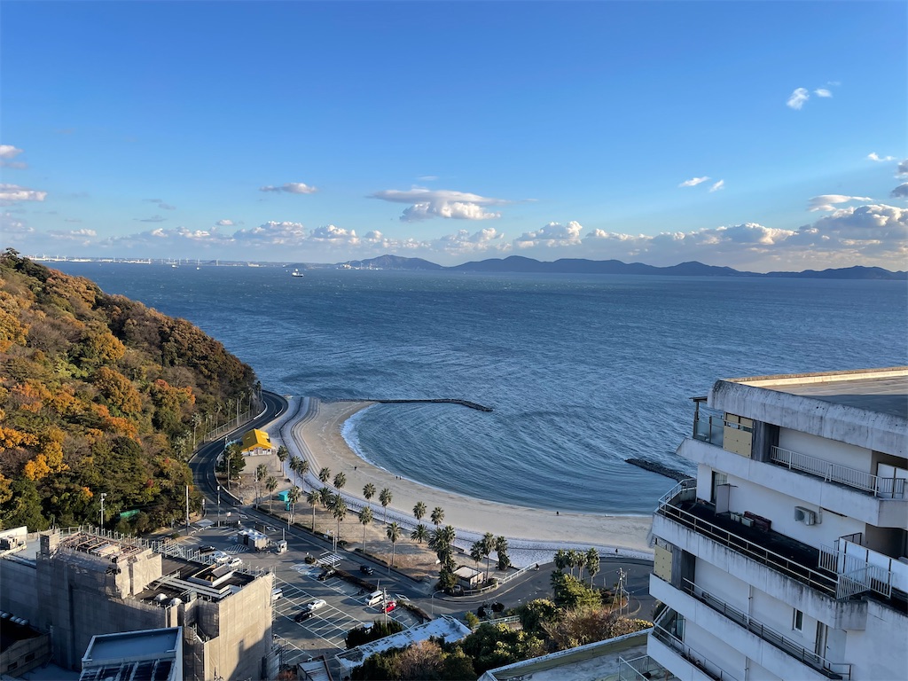 f:id:inagon175:20241219081827j:image