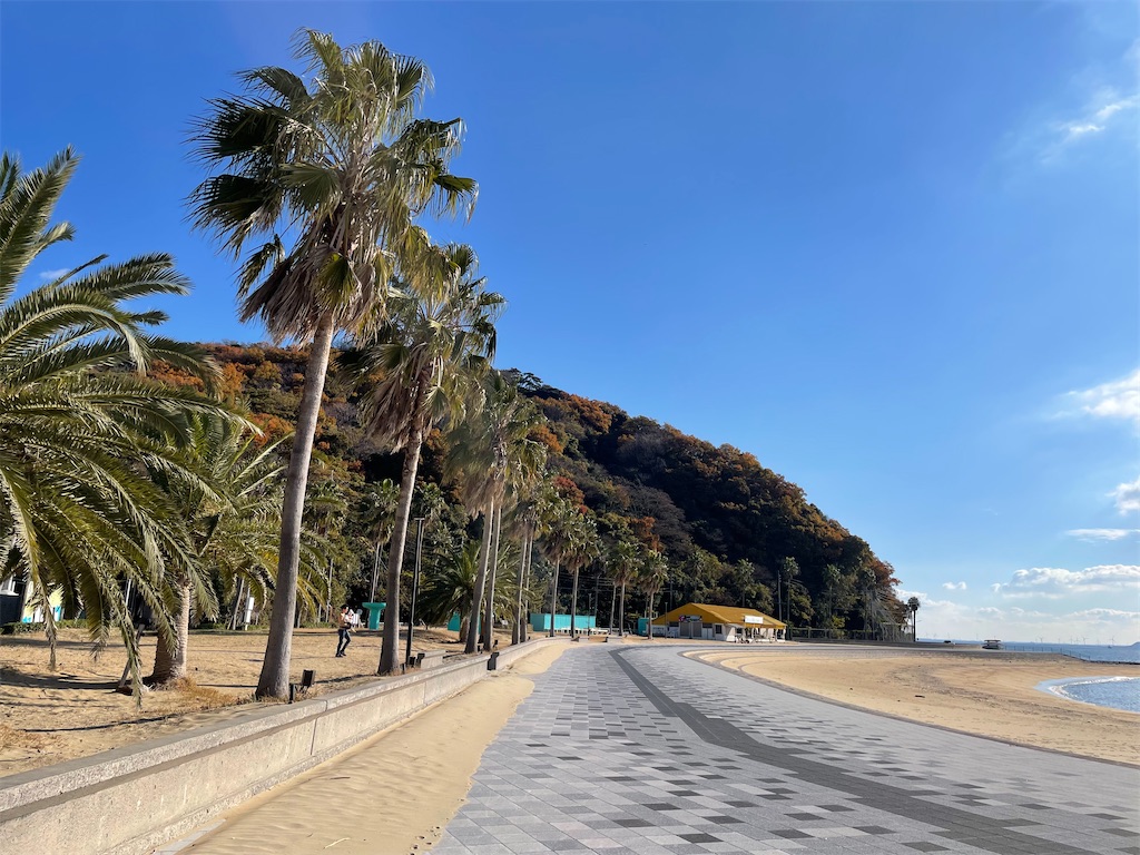 f:id:inagon175:20241219081848j:image