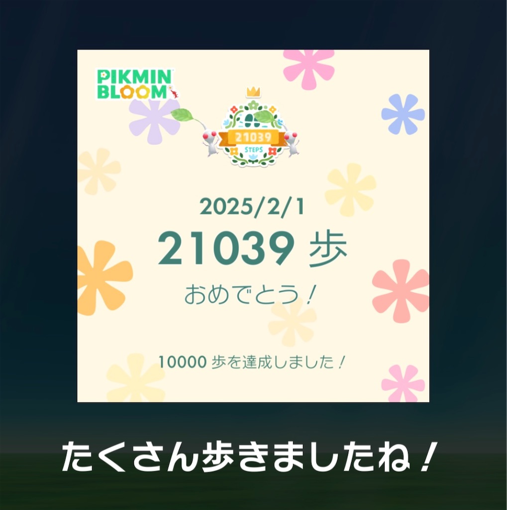 f:id:inagon175:20250209214732j:image