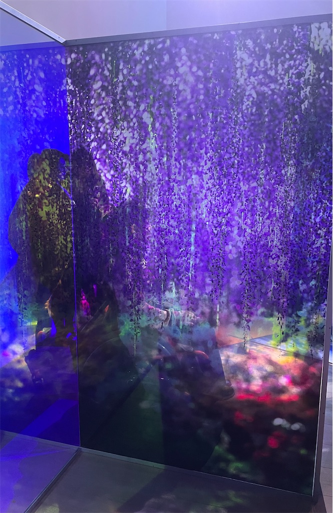 f:id:inagon175:20250210164337j:image