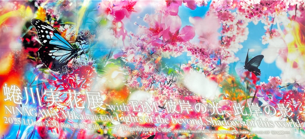 f:id:inagon175:20250214224855j:image
