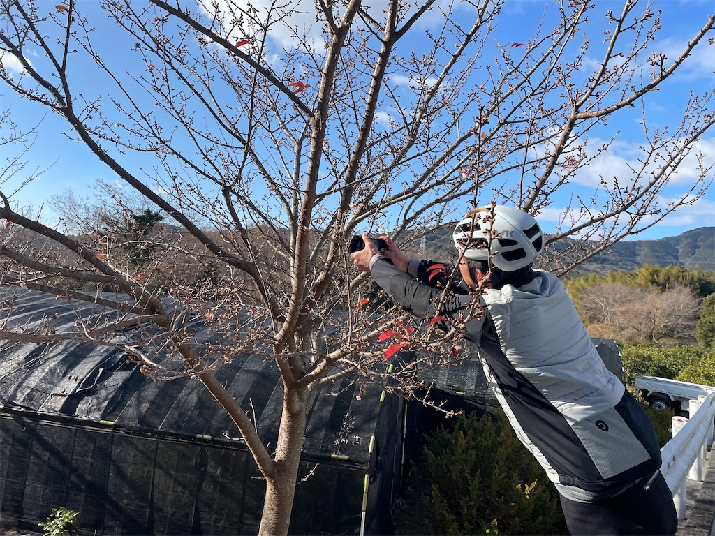f:id:inagon175:20250217144535j:image