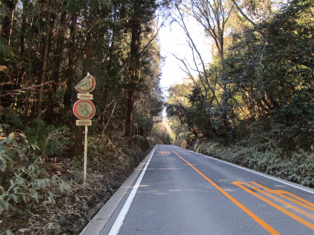 f:id:inagon175:20250303232537j:image